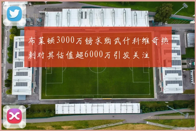 布莱顿3000万镑求购武什科维奇热刺对其估值超6000万引发关注